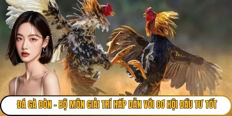 đá gà đòn