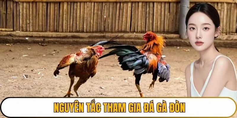 Nguyên tắc tham gia đá gà đòn