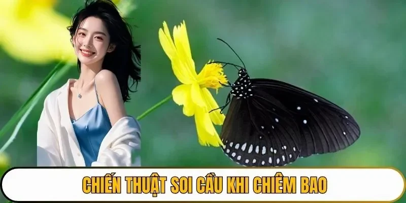 Những chiến thuật soi cầu phù hợp