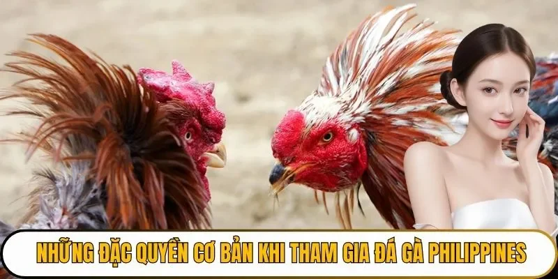 Những đặc quyền cơ bản khi tham gia đá gà Philippines