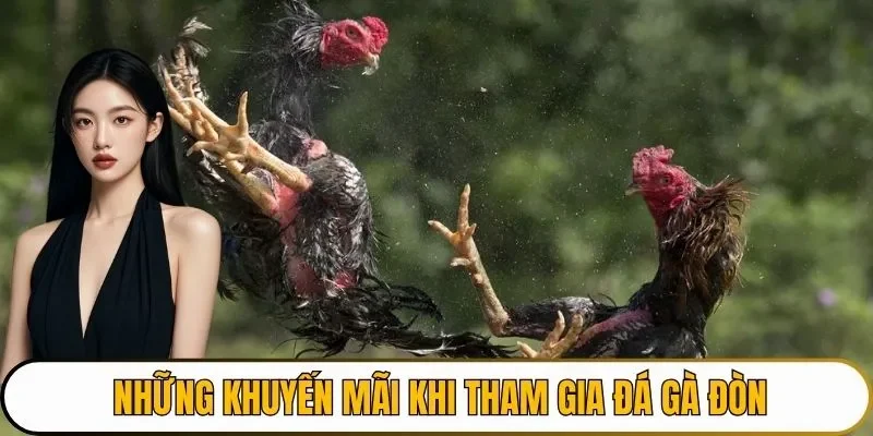 Những khuyến mãi khi tham gia đá gà đòn