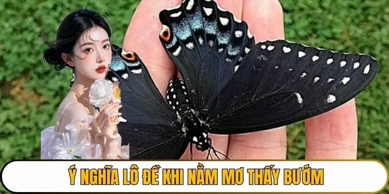 Trong lô đề giấc mơ thấy bướm có ý nghĩa gì?