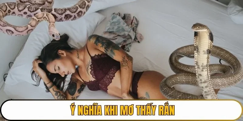 Ý nghĩa khi mơ thấy rắn